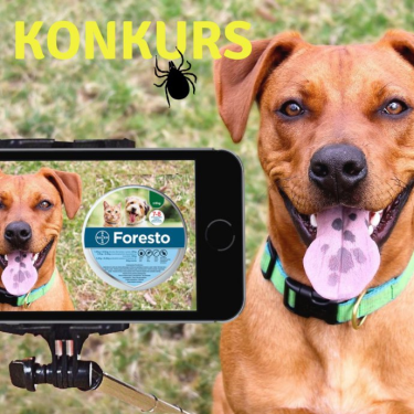 Konkurs fotograficzny "Kleszcze precz"