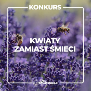 Konkurs "Kwiaty zamiast śmieci"