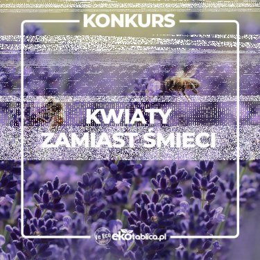 Konkurs "Kwiaty zamiast śmieci"