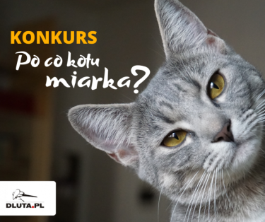 Konkurs "Po co kotu miarka?"