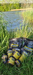 Konkurs od CARP TRIP