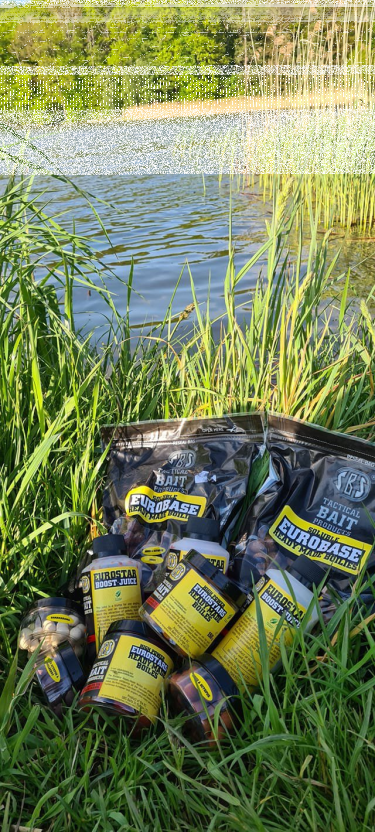 Konkurs od CARP TRIP