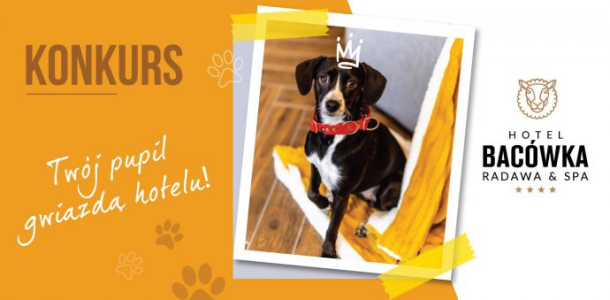 Konkurs z Bacówką