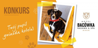 Konkurs z Bacówką