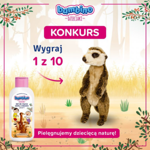 Konkurs "Pokażcie, jak w Waszym domu pracujecie nad czymś wspólnymi siłami"