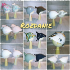 Konkurs "Rozdanie - chustka z daszkiem"
