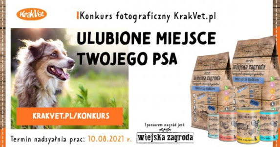 Konkurs "Ulubione miejsce Twojego psa"
