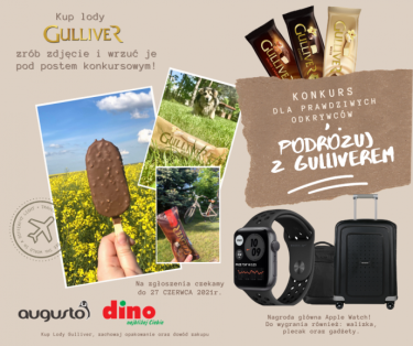 Konkurs "Podróżuj z Gulliverem"