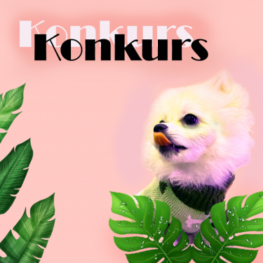 Konkurs "Rozdanie u flo.doggie"