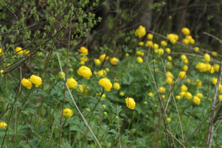 Konkurs "Lipiec 2021"