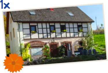 Konkurs fotograficzny od Cukier Królewski