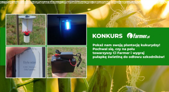 Konkurs "Pokaż swoją plantację kukurydzy"
