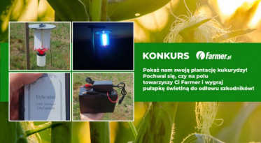 Konkurs "Pokaż swoją plantację kukurydzy"