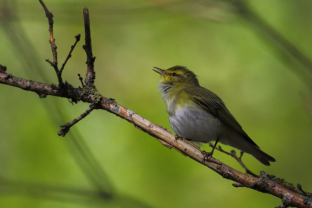Konkurs "Sierpień 2021"