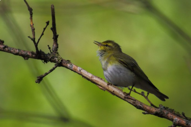 Konkurs "Sierpień 2021"