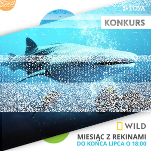 Konkurs "Miesiąc z rekinami - National Geographic Wild" do godz. 16:00