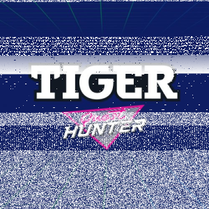 Loteria "TIGER GAMER 2021"