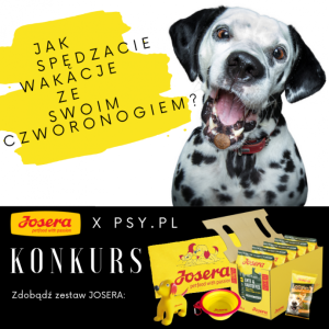Konkurs "Jak spędzacie wakacje ze swoim czworonogiem"