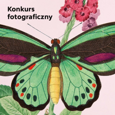 Konkurs "Muzeum Pałacu Króla Jana III w Wilanowie"