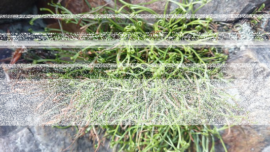 Konkurs "Wrzesień 2021"