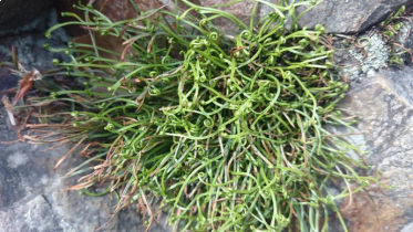 Konkurs "Wrzesień 2021"