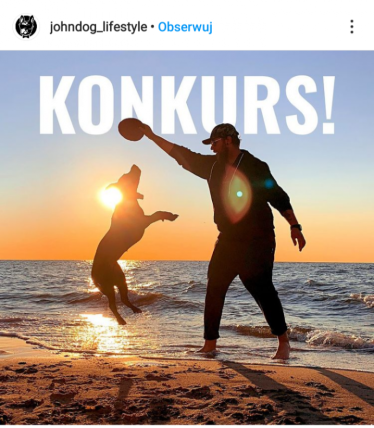 Wygraj box dla psa lub kota!