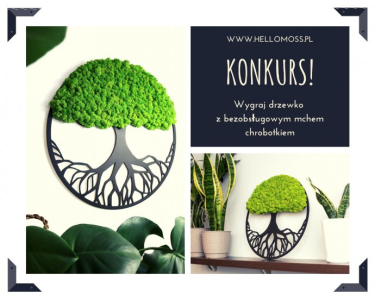 Wygraj drzewko z bezobsługowym chrobotkiem