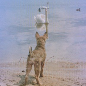 Wygraj najnowszy album formacji Hai