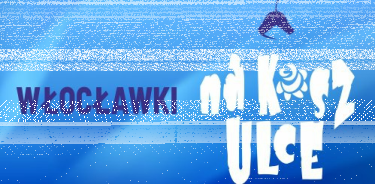 Konkurs "Włocławki na koszulce"