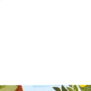 Konkurs fotograficzny "Młodzi Przyrodnicy" Wydawnictwo Wilga