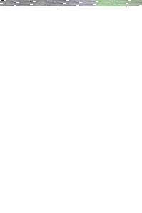 Konkurs z okazji rozpoczęcia działalności Paszarenka.pl! do godz. 23:00