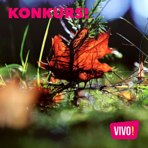 Stalowa Wola: Wygraj kartę podarunkową do galerii VIVO!