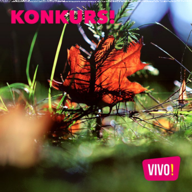 Stalowa Wola: Wygraj kartę podarunkową do galerii VIVO!