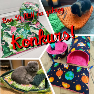 Konkurs "Najpiękniejsze zdjęcie pupila"