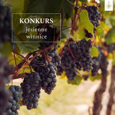 Konkurs "Jesienne winnice"