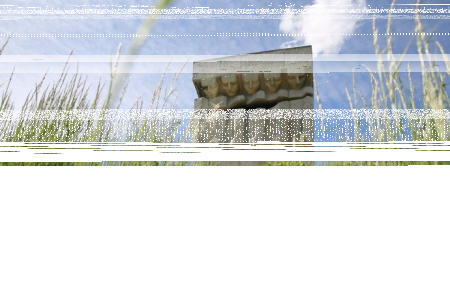 Konkurs na opracowanie koncepcji aranżacji plastycznej wystawy stałej Muzeum KL Plaszow