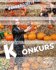 Bydgoszcz: Fotograficzny dyniowy konkurs od FOCUS