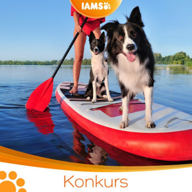 Konkurs "Największe marzenie – październik 2021"