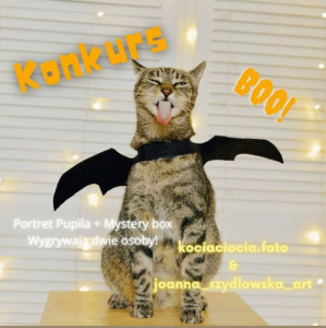 Konkurs "Straszne zdjęcie zwierzaków"