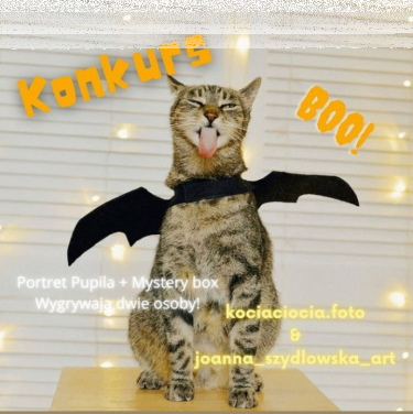 Konkurs "Straszne zdjęcie zwierzaków"