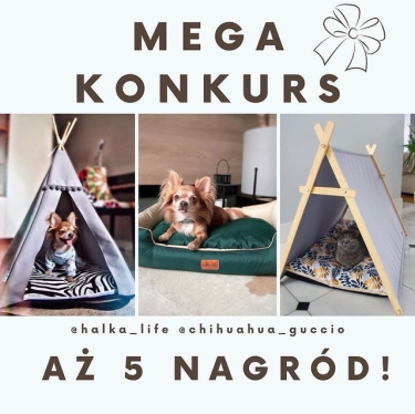 Ogromny konkurs - 5 nagród