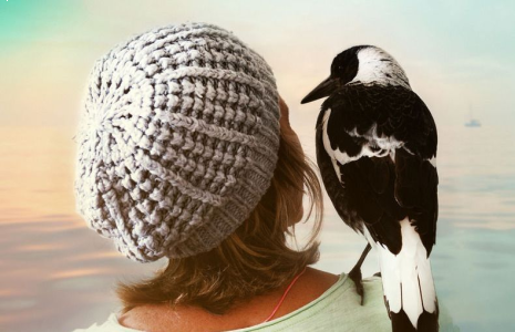 Wygraj książkę Penguin Bloom. Ptak, który ocalił rodzinę