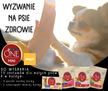 Konkurs fotograficzny "Wyzwanie na psie zdrowie"