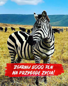 Konkurs "Zgarnij 5000 PLN na przygodę życia"