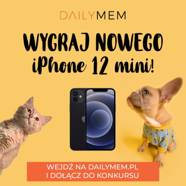 Konkurs "Nie chowaj miliona zdjęć swojego pupila w telefonie"