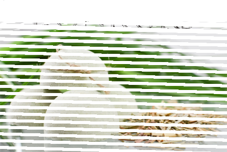 Konkurs z manufakturą Kostka Mydła!