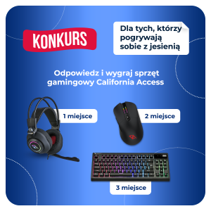 Konkurs "Dla tych,którzy pogrywają sobie z jesienią"