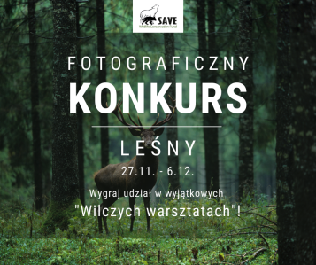 Konkurs fotograficzny "Nie wywołuj wilka z lasu"
