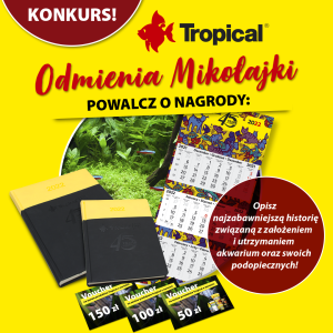 Konkurs "Tropical odmienia Mikołajki"