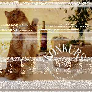 Konkurs tylko dla pełnoletnich 18+